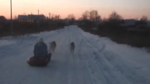 Пакатушки на "хаски зима 2016 смотреть онлайн
