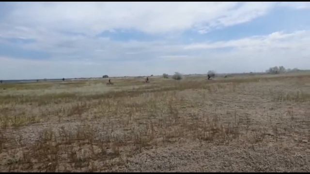Первые покатушки на питбайках смотреть онлайн