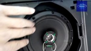 Задние динамики во Фриде