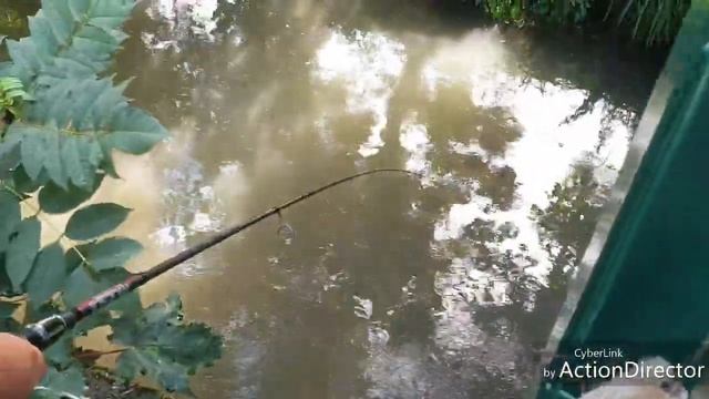 Peche au leurre 3 truite fario ( peche de la truite #9 ) смотреть онлайн