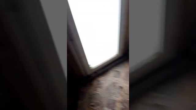 котел комфорт завода г. Прокопьевск село Шарап Прокопьевский район Кузбасс 20 ноября 2021 года смотреть онлайн