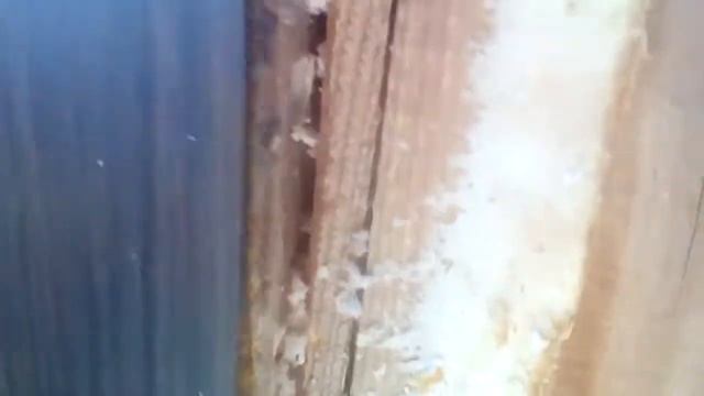 Термопанели фасадные ППУ. Развенчиваем мифы.