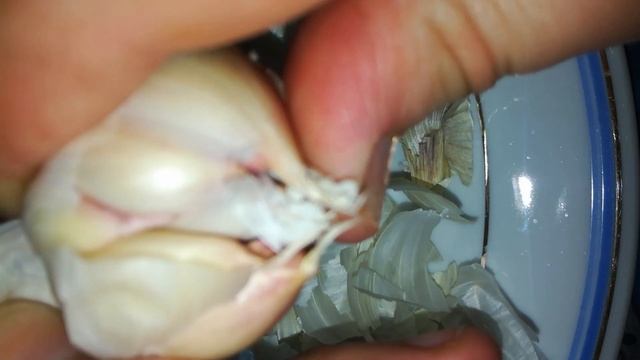 ? ASMR Чикотим Ушки Чистим Чесночёк ?Will Chikoti Ears Peel Garlic 将Chikoti耳朵剥大蒜 смотреть онлайн