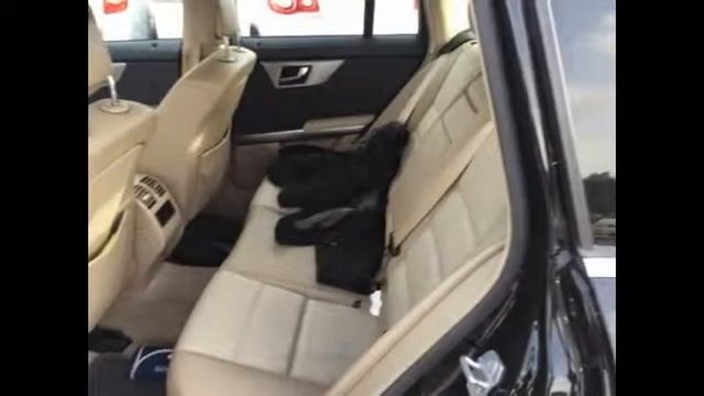 Mercedes-Benz GLK 320 CDI 4Matic Sport - Mads Motor Milazzo (Me) смотреть онлайн