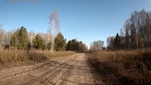101. 2023. Легендарной вонючки больше нет 👍 Вместо нее только мусор в наших лесах 👎 Почему? смотреть онлайн