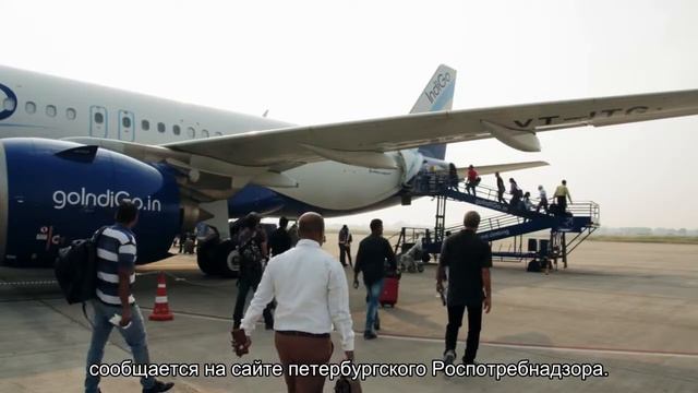 Роспотребнадзор ищет в петербургских магазинах крысиное мясо под видом говядины смотреть онлайн