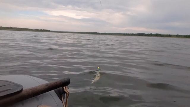 Да сколько же тут щуки? Просто рыболовное эльдорадо!!! Ловим щуку на озере с лодки. смотреть онлайн