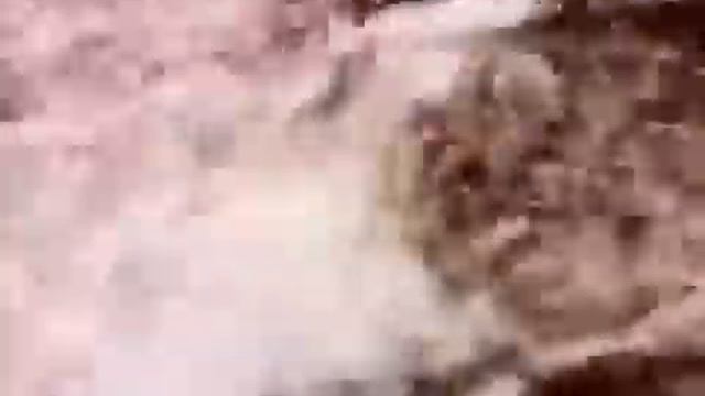 SARI GELIN KARAOKE AZERBAYCAN AZERBAIJAN смотреть онлайн