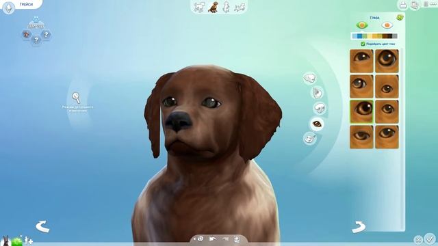 The Sims 4 Челлендж Чудо генетики: СОБАКИ (Randon Genetics challenge # 5) смотреть онлайн