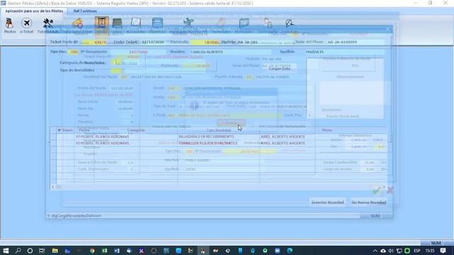 Sistema Registro de Vuelos - Cierre del Ticket y carga del vuelo. смотреть онлайн