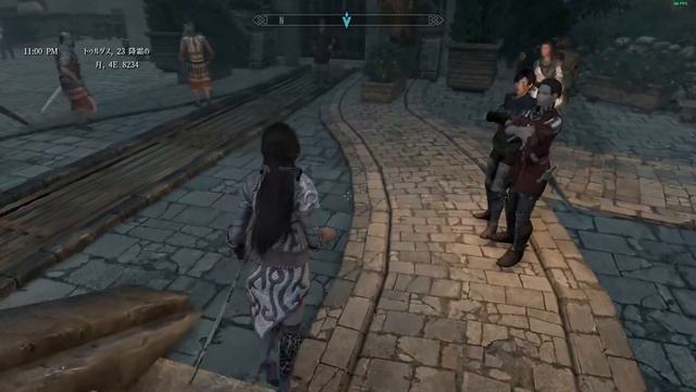 #056　Enderal Forgotten Stories (SE) Anneshemの冒険日誌　大義の為に(完了) смотреть онлайн