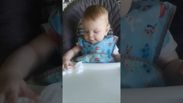 Завтрак, июль 2020 смотреть онлайн