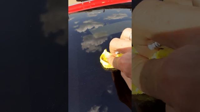 Отмываем тополь с автомобиля смотреть онлайн