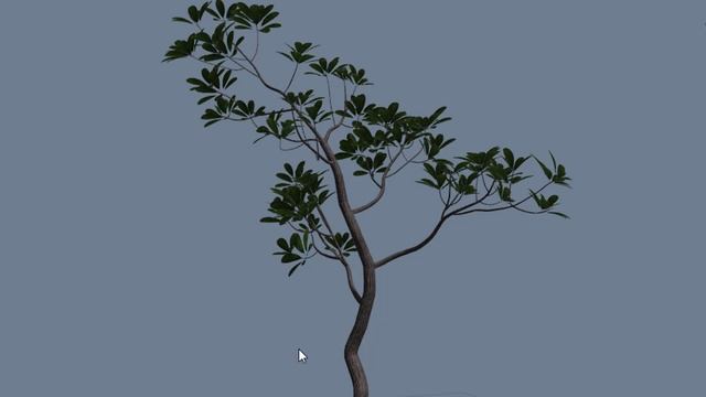 Cay hoa dai | Plumeria tree making for Lumion | Lumion Easy смотреть онлайн