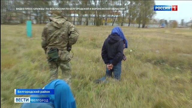 В Белгородской области у иностранцев изъяли 495 рогов сайгака смотреть онлайн