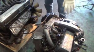 Двигатель Ssangyong Istana OM662. Взаимозаменяемость.