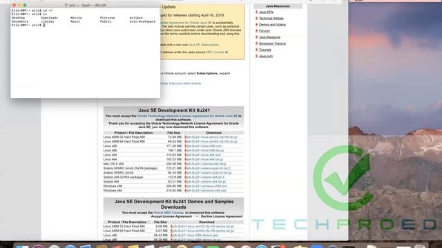 Techpro Education / JDK 8 for MAC with JAVA HOME смотреть онлайн
