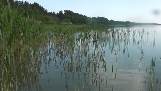 рыбалка летом 24г смотреть онлайн