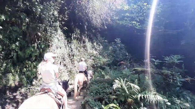 АБХАЗИЯ 31 июля 2022 г. Конные прогулки в ущелье бабы Яги в Абхазии смотреть онлайн