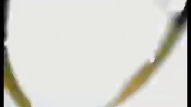 Beeline Advert 2006 / Реклама Билайн (Роуминг с теннесистками). смотреть онлайн