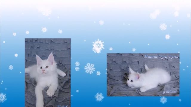 Снежные комочки для сына и для дочки! смотреть онлайн