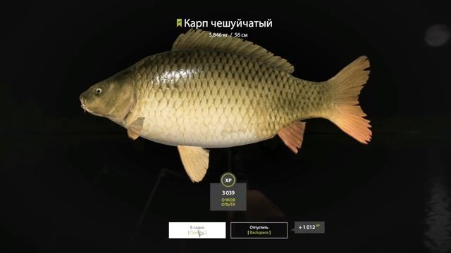 рр4 озеро Янтарное мелкие Карпы на тутти фрутти желтый.Amber lake carp 04.04.2022 смотреть онлайн