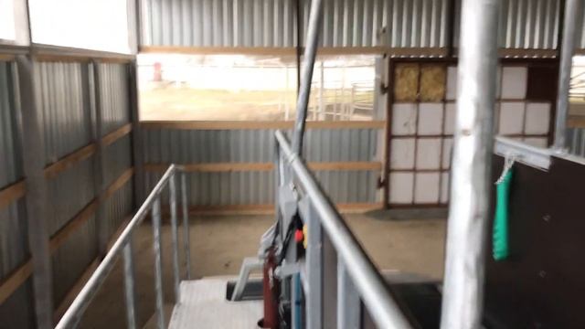 ✅ Как устроена ➡️ Беговая дорожка для ? лошадей ⬅️ смотреть онлайн