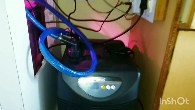 How To Choose nd Install An Marine/Planted Hailea (HC-300A) Aquarium Chiller (in hindi) (part:-2) смотреть онлайн