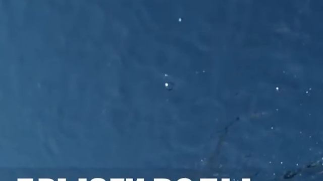 брызги воды смотреть онлайн