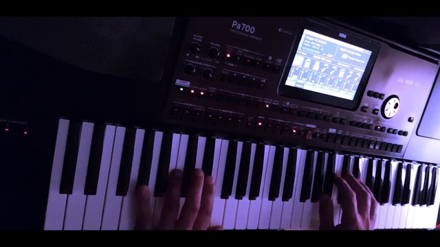 Sugar - Robin Schulz KORG PA 700,1000,pa4x style смотреть онлайн