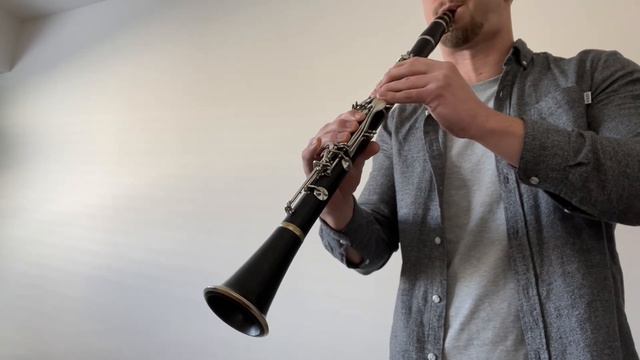 Selmer Signet 100 - Wooden Clarinet Demo