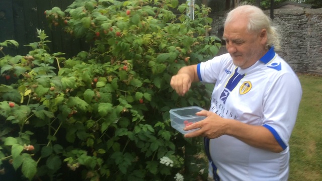 Forfar Berry Thief смотреть онлайн