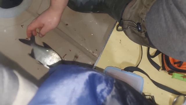Зимняя рыбалка Иваньковское водохранилище Дубна с 23 на 24.01.24 смотреть онлайн