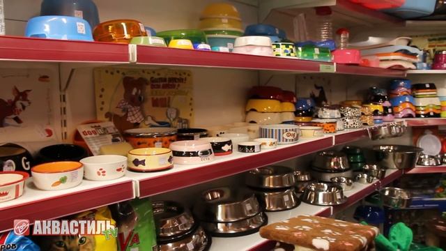 Миски и чашки. Зоотовары смотреть онлайн