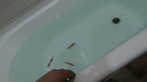 Блесны из медных трубок для летней и зимней ловли