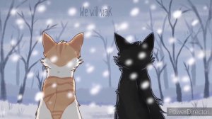 Топ 5 мыслей в Котах-Воителях || Коты-воители || Кошачья Мята