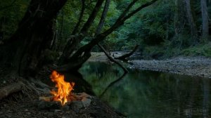 Размножение черешни черенками