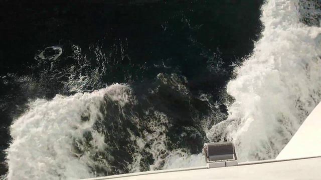 MSC GRANDIOSA в средиземном море смотреть онлайн