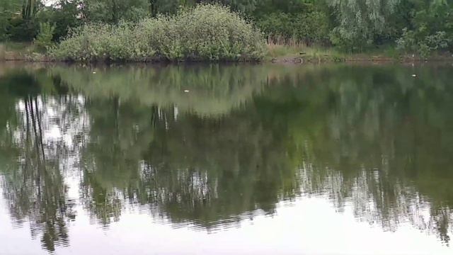 Открытие сезона. Щука на кружки смотреть онлайн