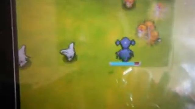Pokemon rumble blast: How to get a legendary смотреть онлайн