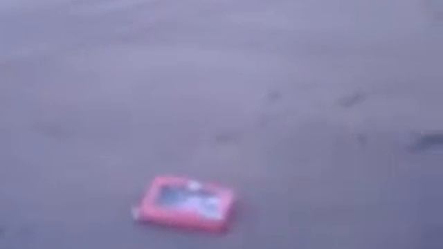 NOT MY DONUTS! смотреть онлайн