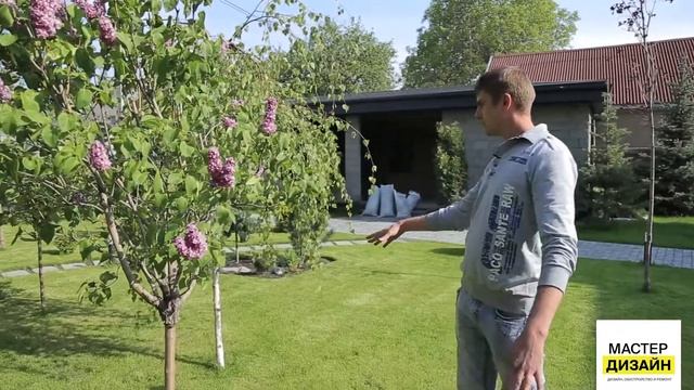 Озеленение частного дома в 300 кв. м. смотреть онлайн