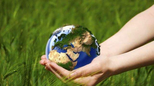 Подбор продуктов. Торсунов Олег Геннадьевич смотреть онлайн