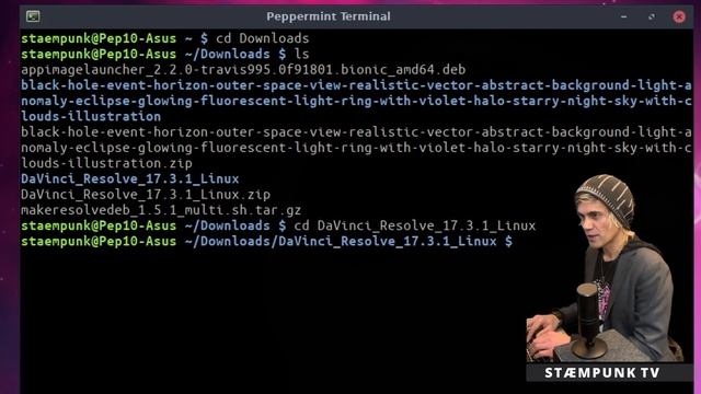 Install DaVinci Resolve in Debian based Linux systems [step by step] смотреть онлайн