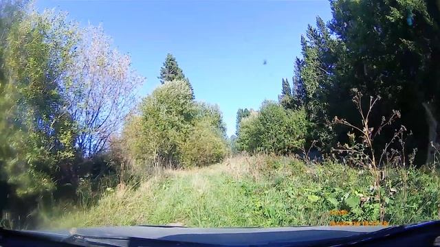 К берегу Камы за корягами смотреть онлайн