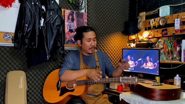 Martin DJR 10 vs Taylor GS mini смотреть онлайн
