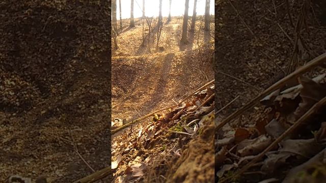 mountainboard-Trzebnica смотреть онлайн