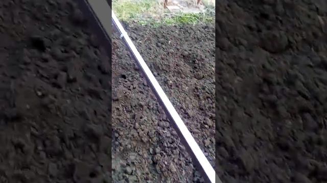 Поливная система для дома (3 улитки) смотреть онлайн