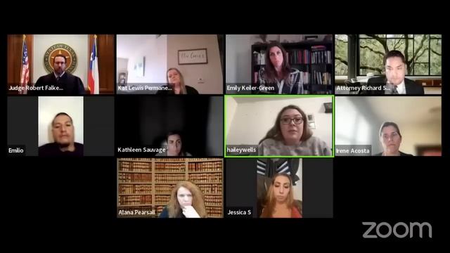 Part 3 - Firey CPS Case - Snark vs Sass смотреть онлайн