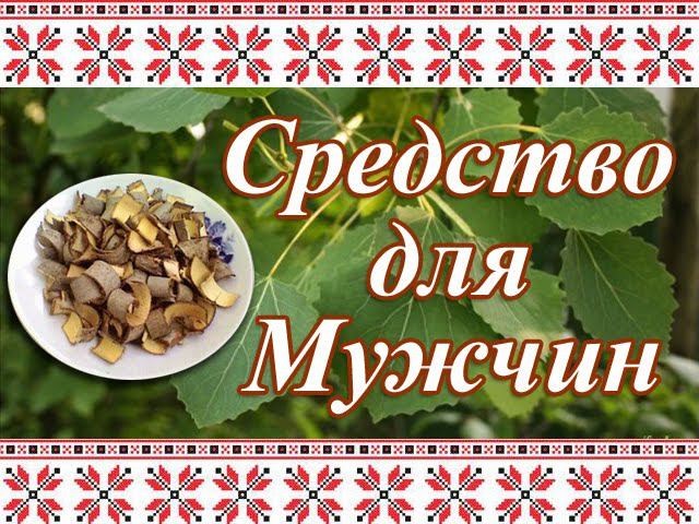 Простой Рецепт для Профилактики ПРОСТАТИТА. Кора Осины + Спирт 70% смотреть онлайн